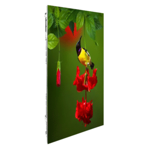 GABINETE P3.9 OUTDOOR MOVIL RENTA 50x100cm CINEMAC