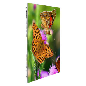 GABINETE P4.81 OUTDOOR 50x100cm ALUMINIO MOVIL RENTA RGB