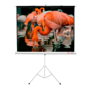 Pantalla Trípode HI-SCREEN de 100" (180×180) cm